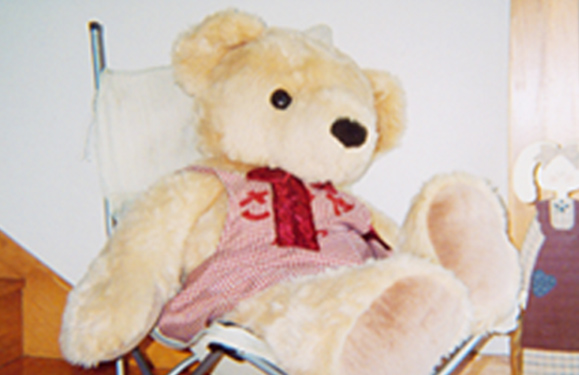 情操教育環境の一例写真 その1を紹介しています