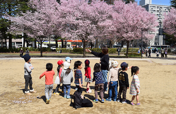 お花見の様子写真を紹介しています