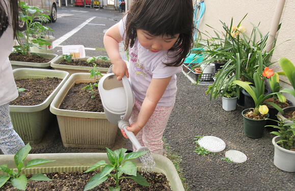 保育園プランター野菜栽培写真 その2を紹介しています
